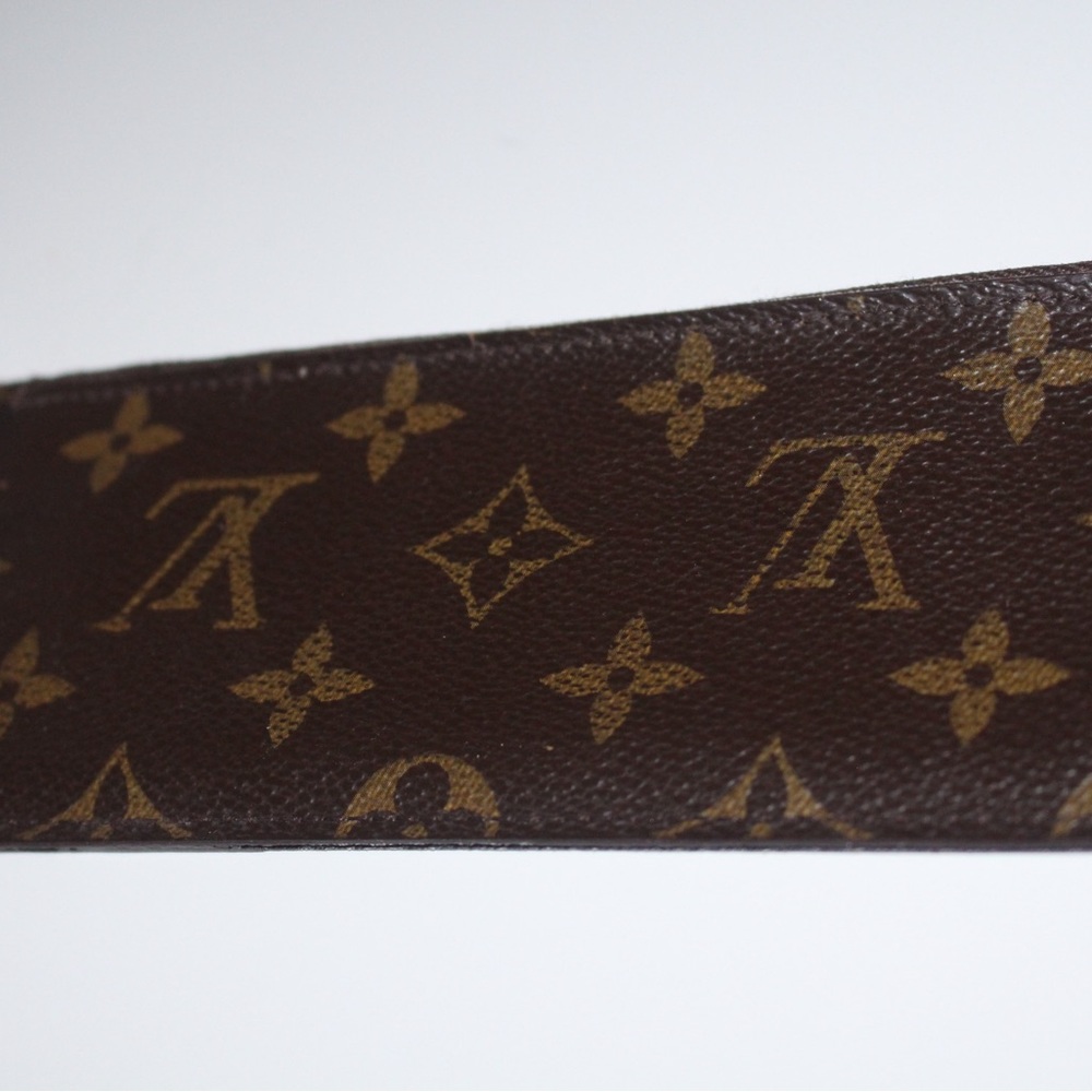 Louis Vuitton Pochette Felicie Zippered Insert